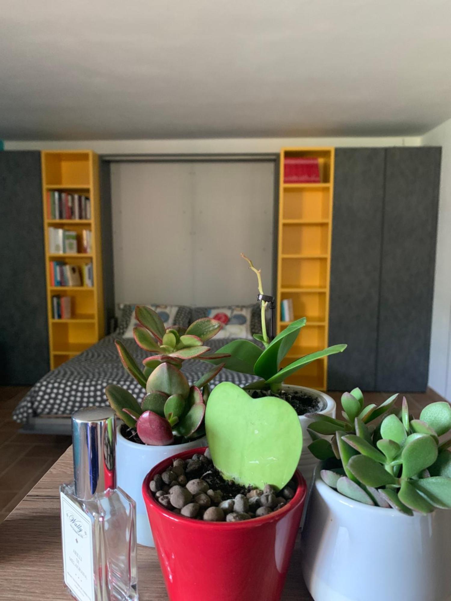 Appartamento Con Giardino Pontecchio Marconi Exterior foto